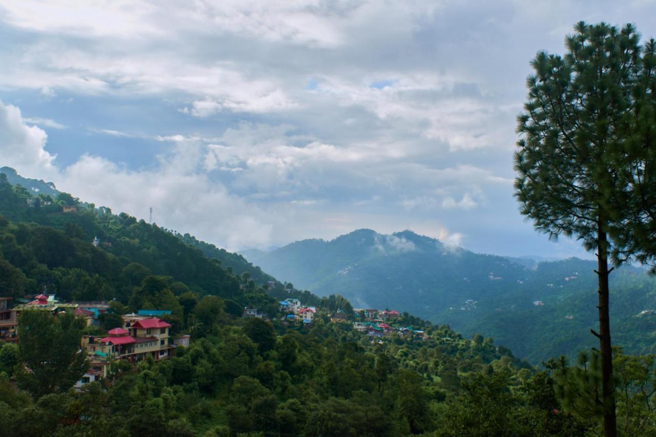 Sunrise View Homestay Kasauli Εξωτερικό φωτογραφία